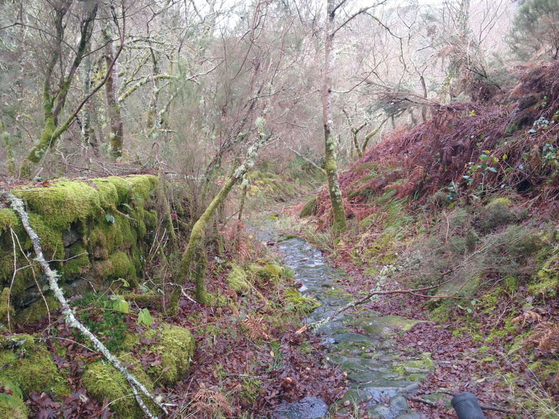 IMG 20201212 102433765