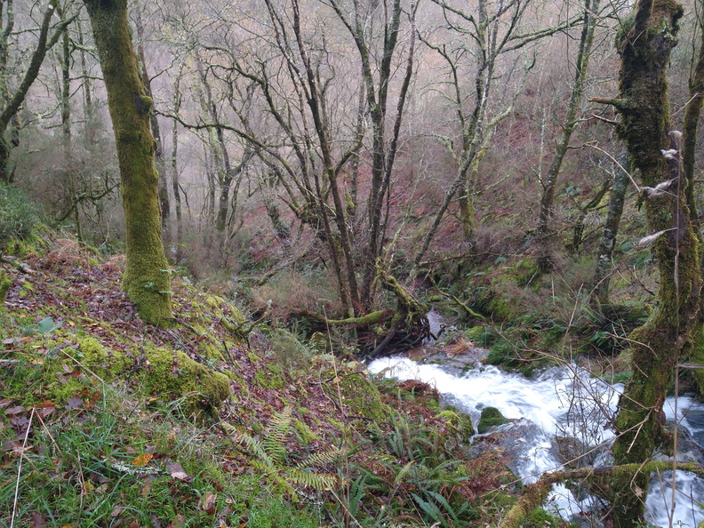 IMG 20201212 102716871