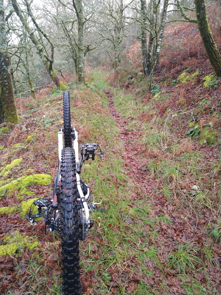 IMG 20201212 103204180