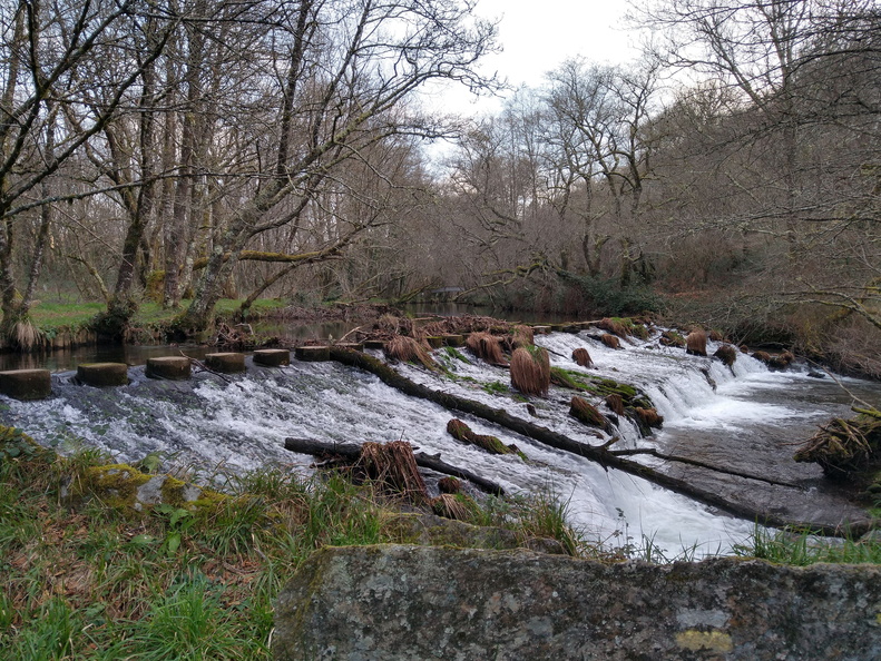 IMG 20210110 100347213 HDR