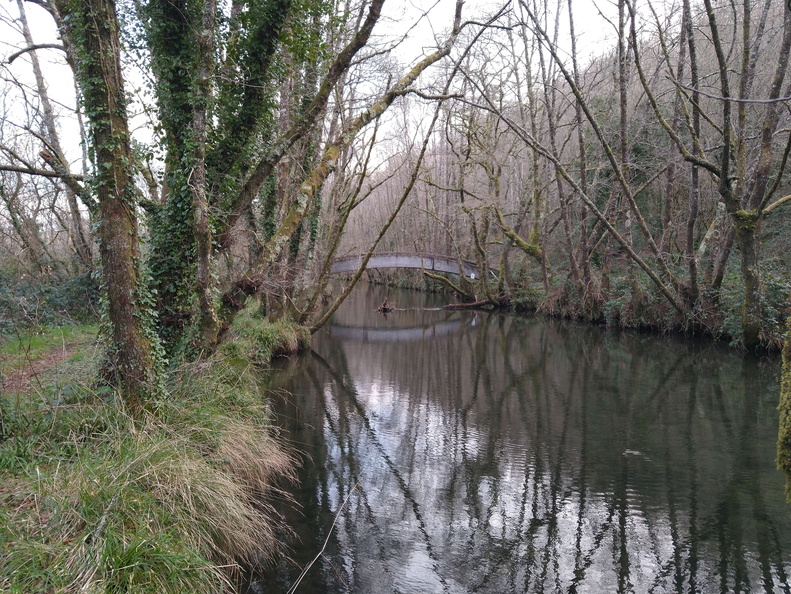 IMG 20210110 100543732