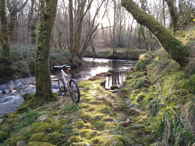 IMG 20210110 101809114