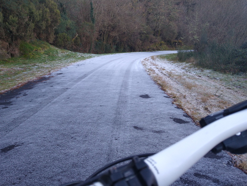 IMG 20210117 100516631