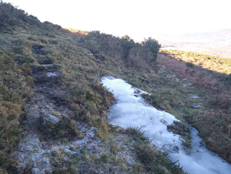 IMG 20210117 110043537