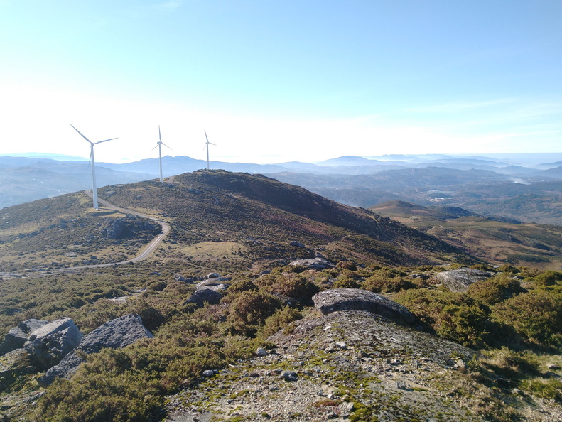 IMG 20210117 114346232