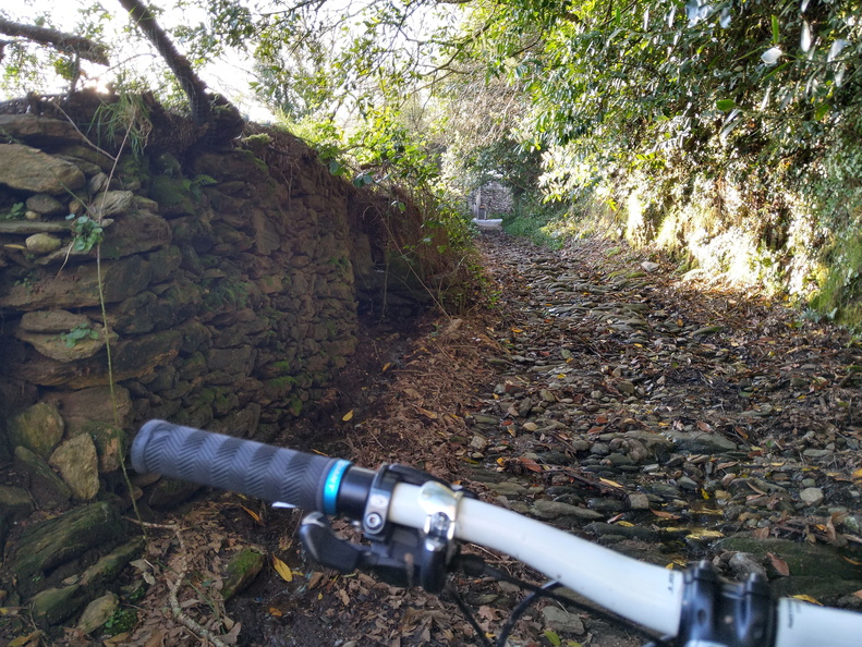 IMG 20210404 094326511 HDR