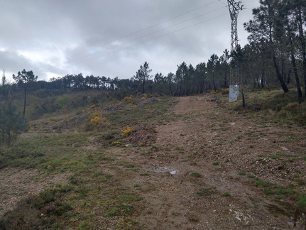 IMG 20210411 101858477 HDR