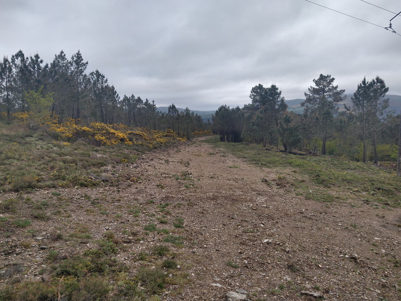 IMG 20210411 101901947 HDR