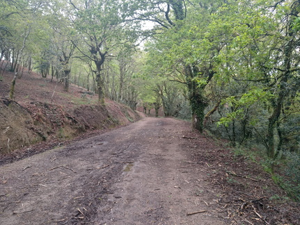 IMG 20210411 102245864 HDR