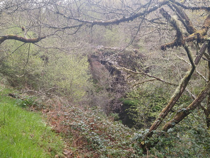 IMG 20210411 103127348 HDR