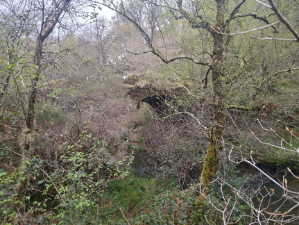 IMG 20210411 103257956 HDR