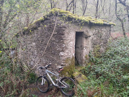 IMG 20210411 103350416 HDR