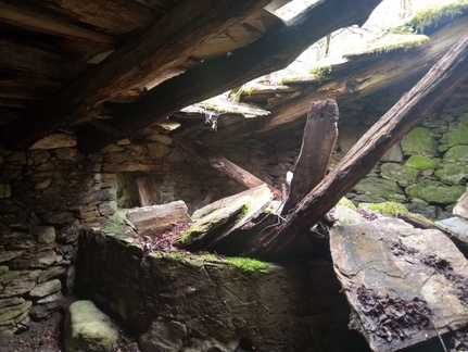 IMG 20210411 103404292 HDR