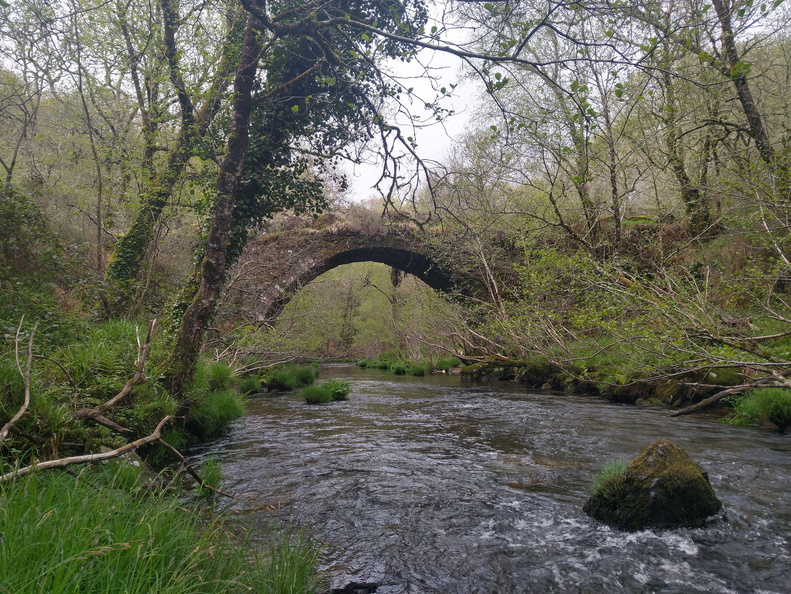 IMG 20210411 103438609 HDR