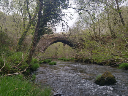 IMG 20210411 103438609 HDR