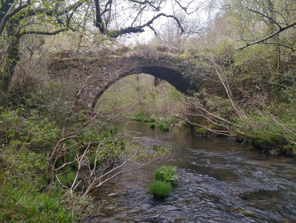 IMG 20210411 103555581 HDR