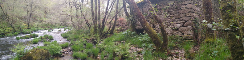 IMG 20210411 103708061