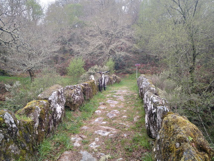 IMG 20210411 103932209 HDR