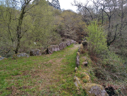 IMG 20210411 104349442 HDR