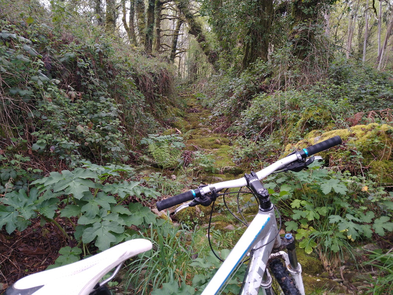 IMG 20210411 105311181