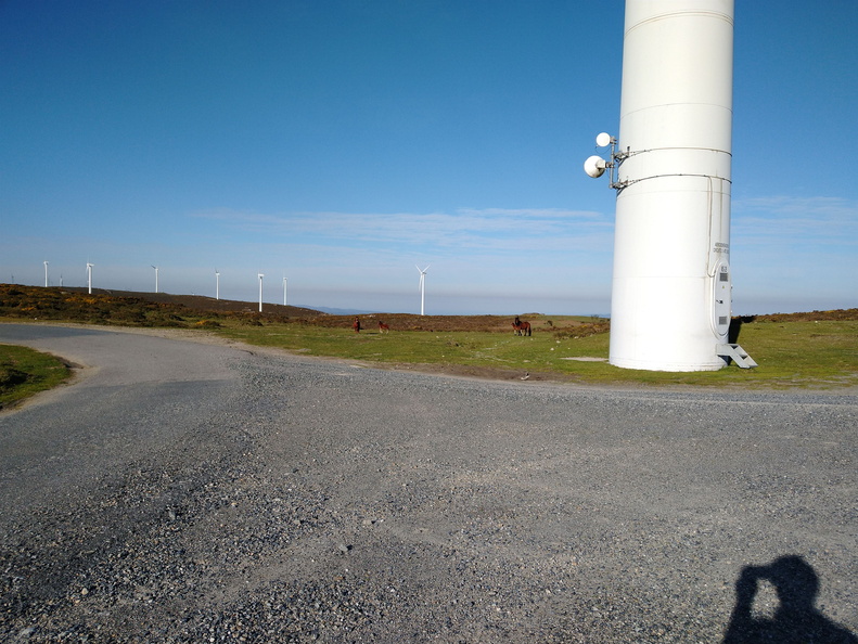 IMG 20210417 094400003