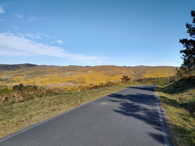 IMG 20210417 104805453 HDR