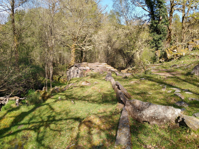 IMG 20210417 105246425 HDR