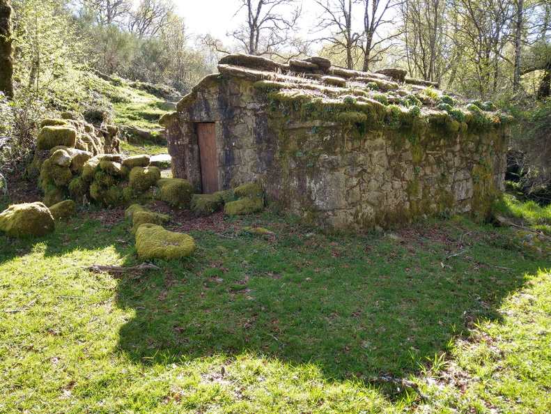 IMG 20210417 105430385 HDR