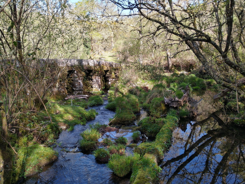 IMG 20210417 105736737 HDR