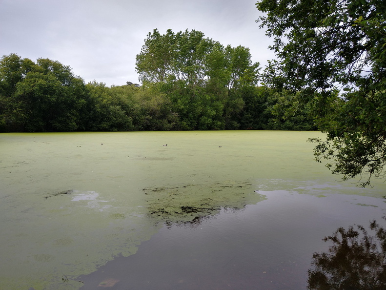 IMG 20210514 173538238 HDR