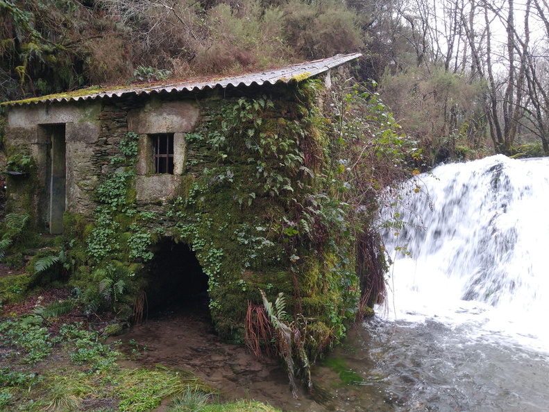 IMG 20210206 100446810