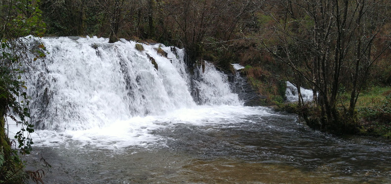 IMG 20210206 100457391