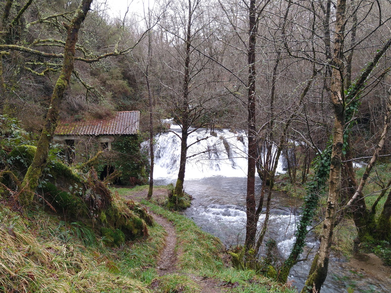 IMG 20210206 100804037