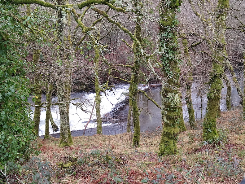 IMG 20210206 102031629