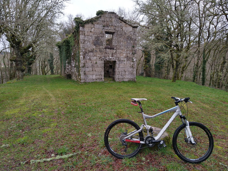 IMG 20210206 102143283 HDR