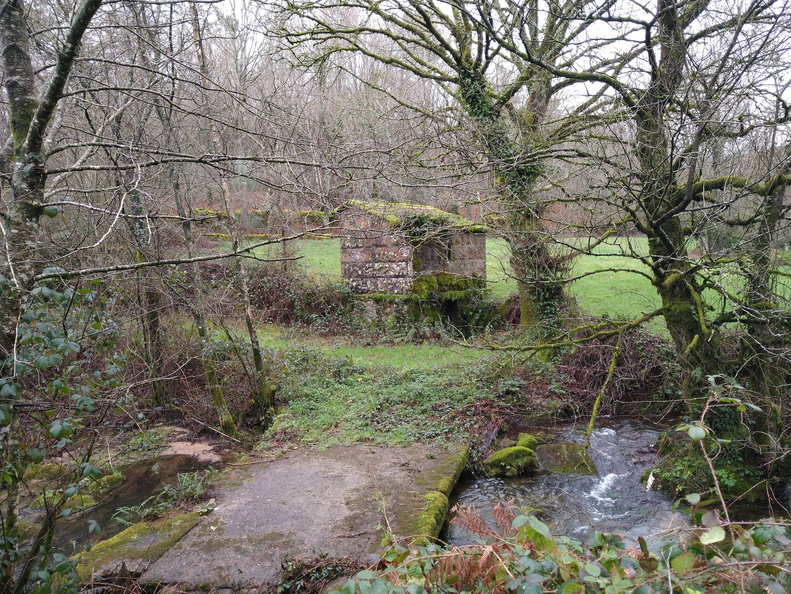 IMG 20210206 115752461