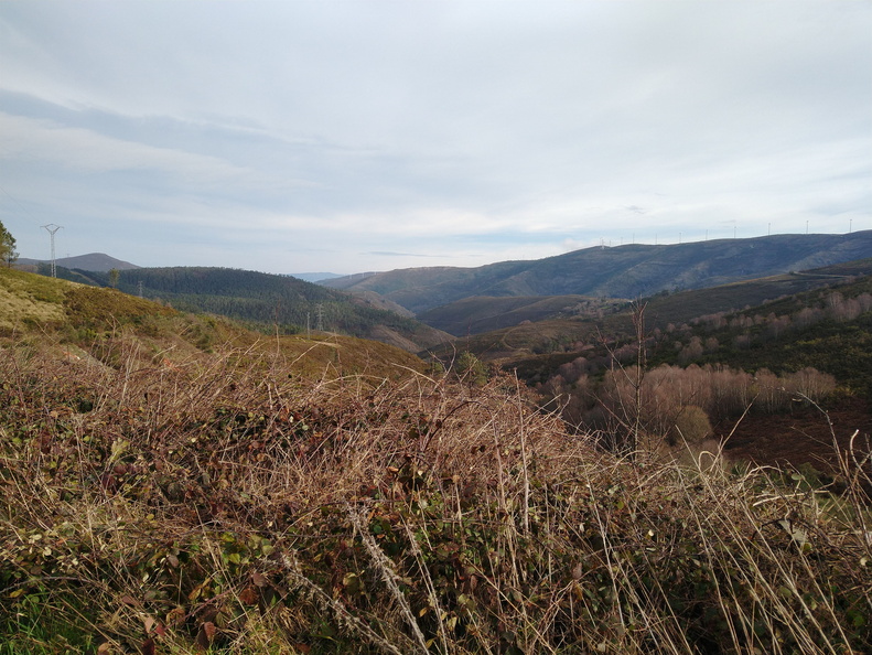 IMG 20210214 103839057