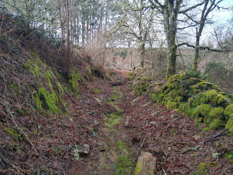 IMG 20210214 104938895 HDR