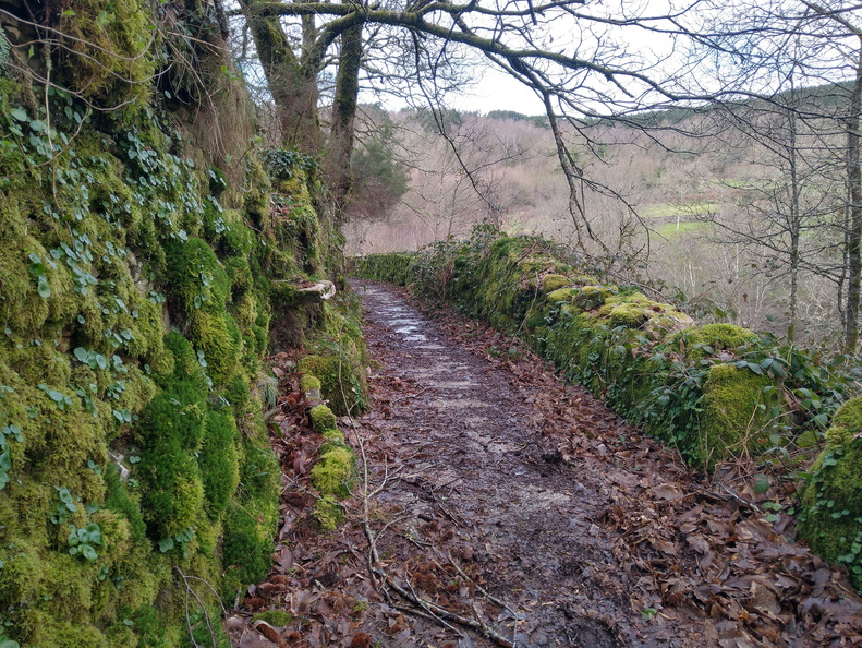 IMG 20210214 114331016 HDR