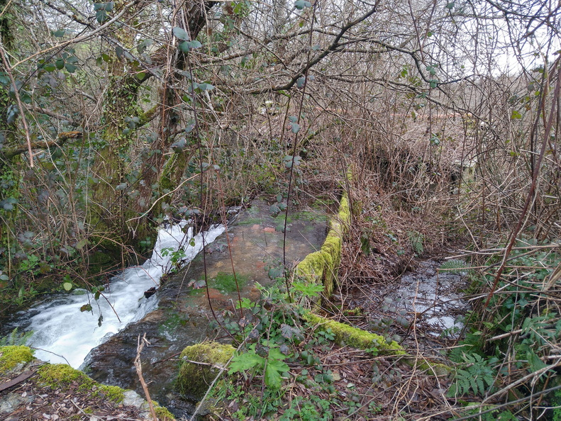 IMG 20210214 114559493 HDR