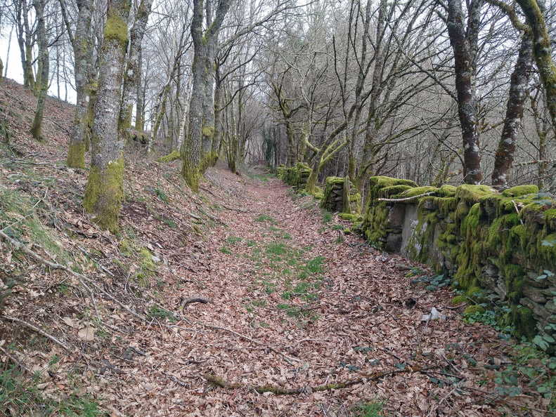 IMG 20210214 115549596 HDR