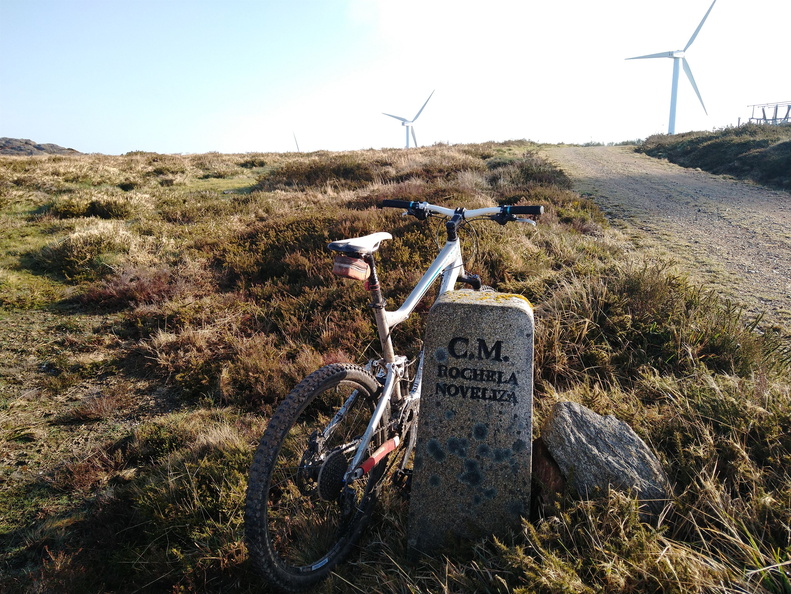 IMG 20210306 101105760