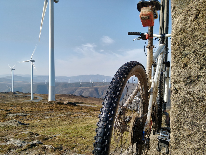 IMG 20210306 103350860 HDR