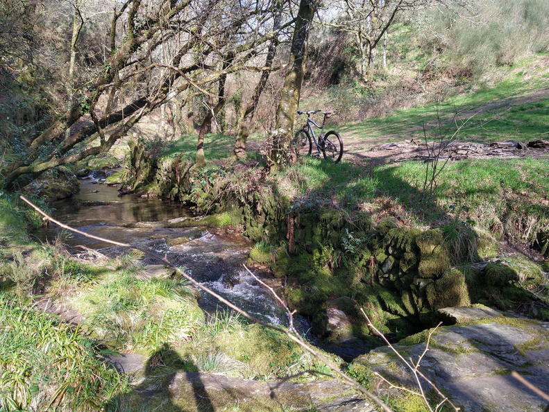 IMG 20210306 105109155 HDR