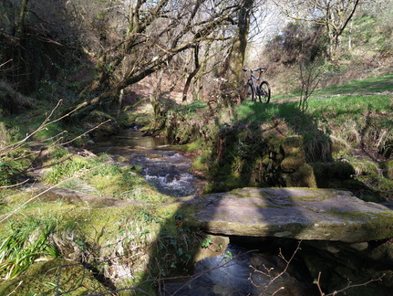 IMG 20210306 105127933