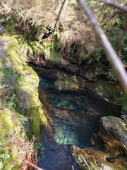 IMG 20210306 105320988 HDR