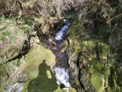 IMG 20210306 105346088 HDR