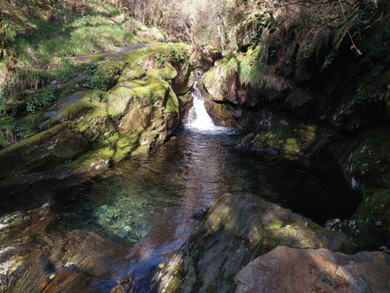 IMG 20210306 105514626