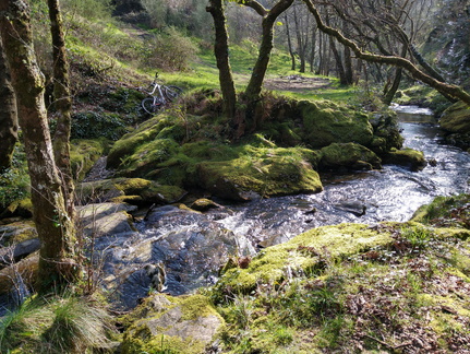 IMG 20210306 105923441 HDR