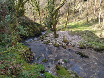 IMG 20210306 110125020 HDR